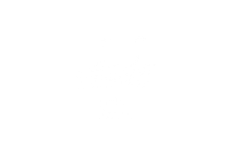 Sirkus Renaa